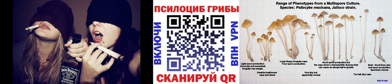 Купить где  Нижние Серги  Псилоцибиновые грибы Psilocybine cubensis 