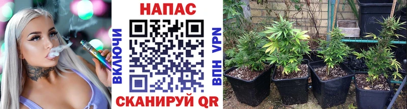 Купить где  Нижние Серги  Канабис марихуана 